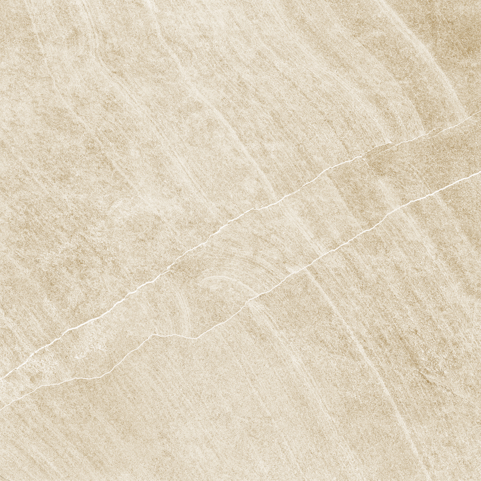 d60202m_05.jpg