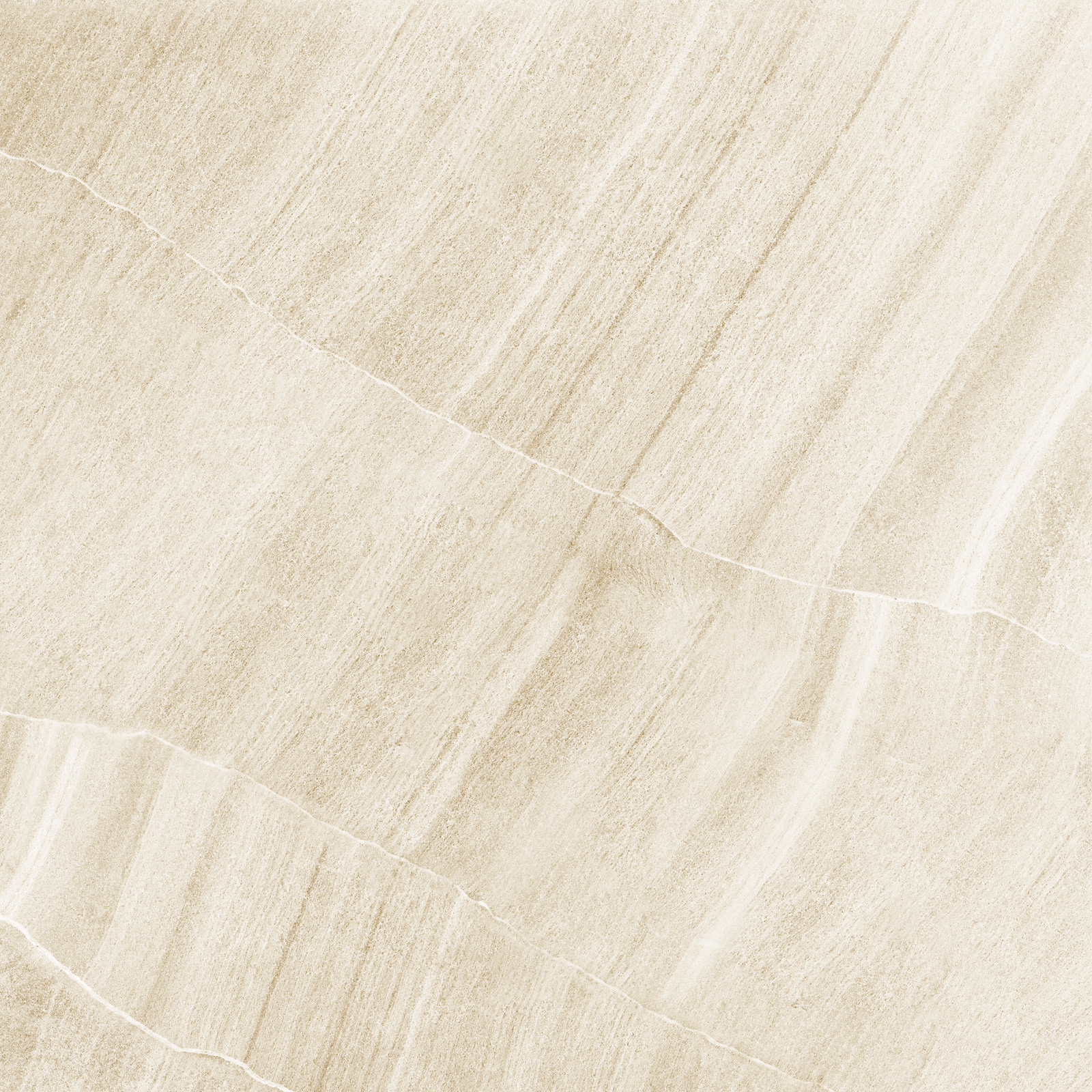 d60202m_06.jpg