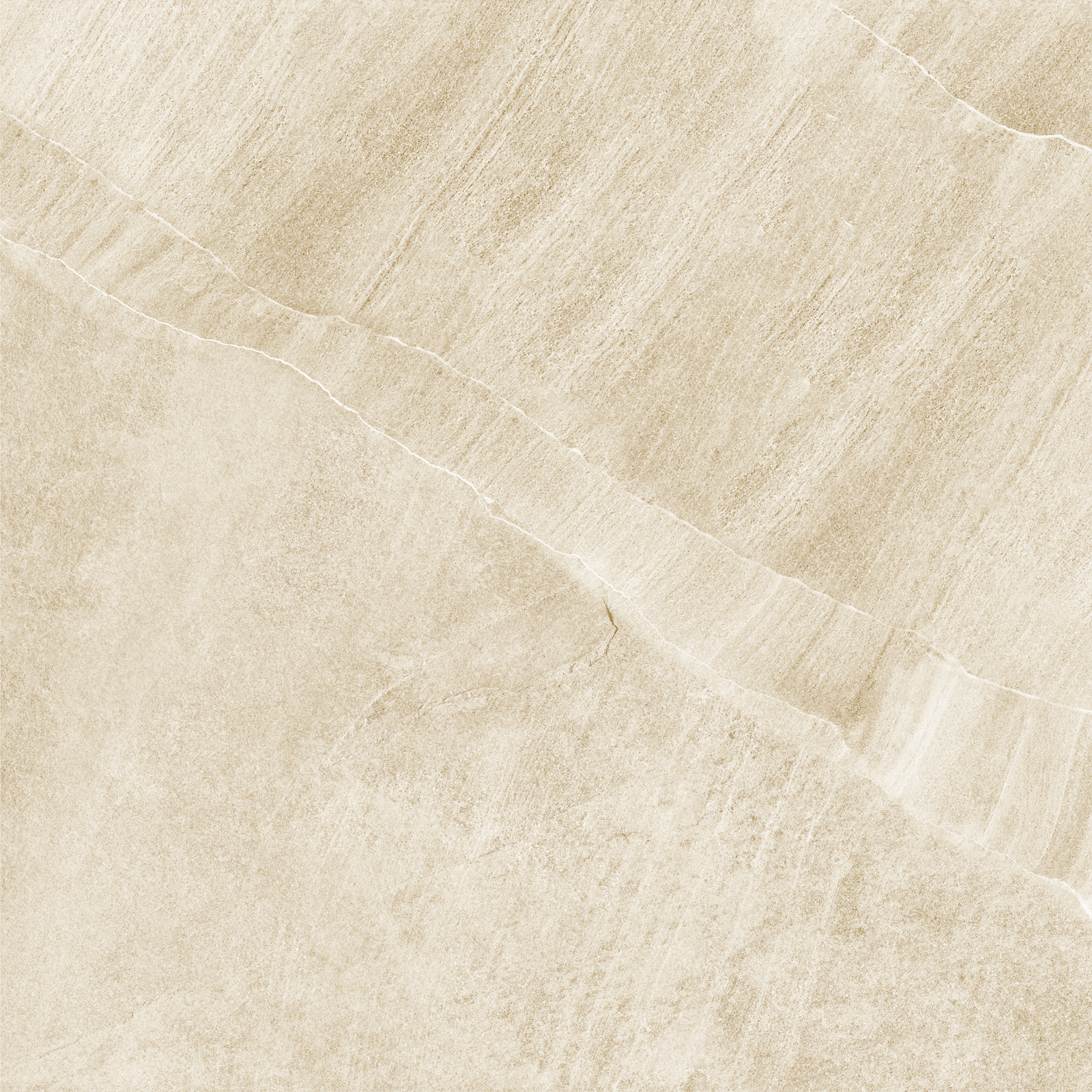 d60202m_07.jpg