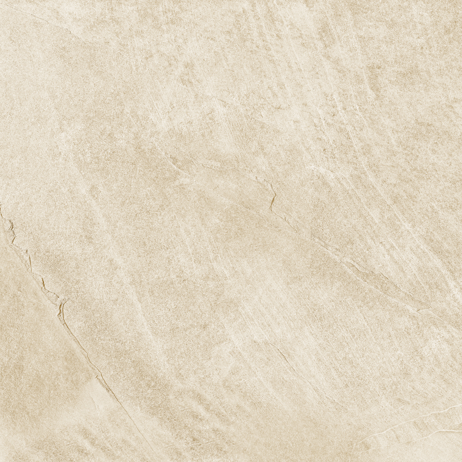 d60202m_10.jpg