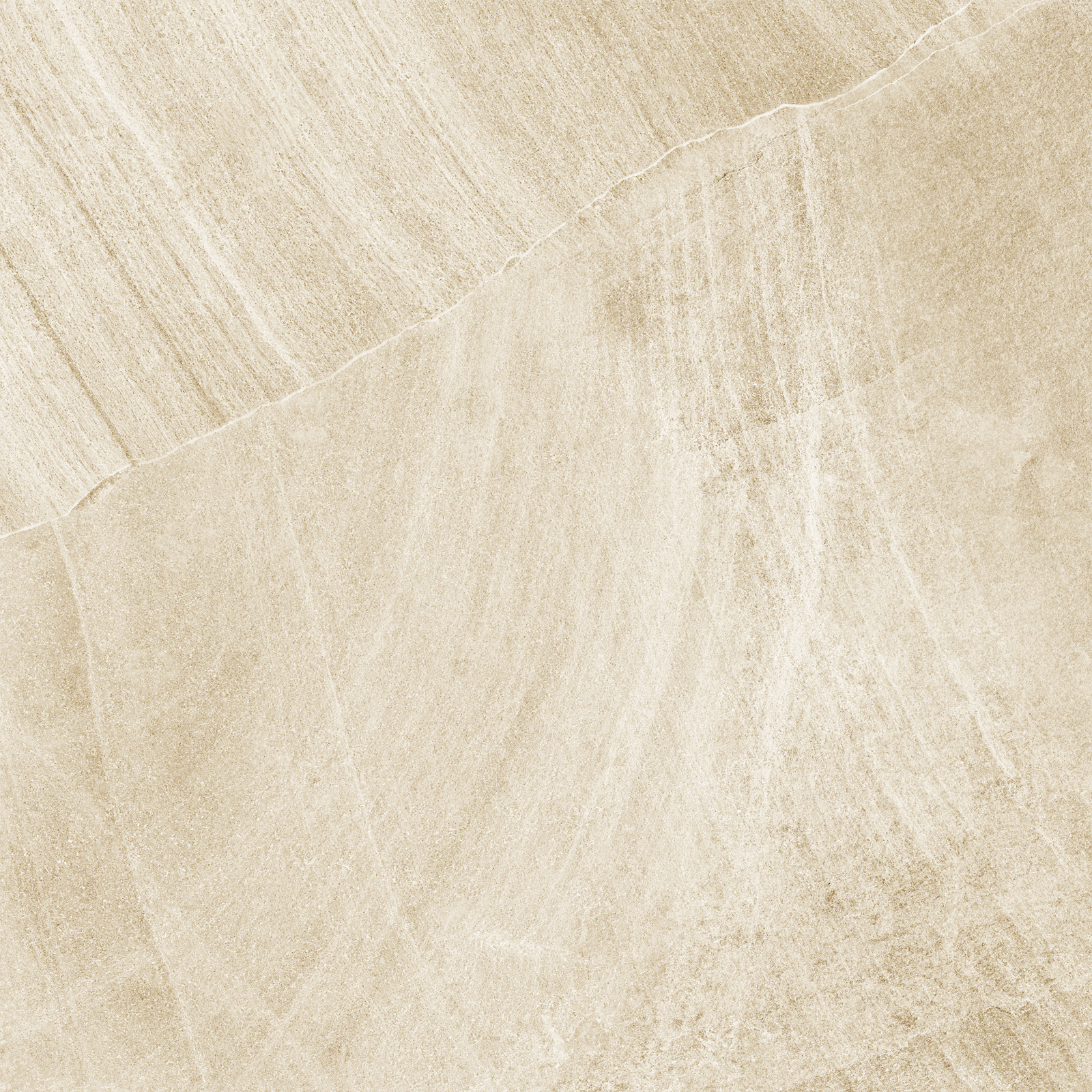 d60202m_11.jpg