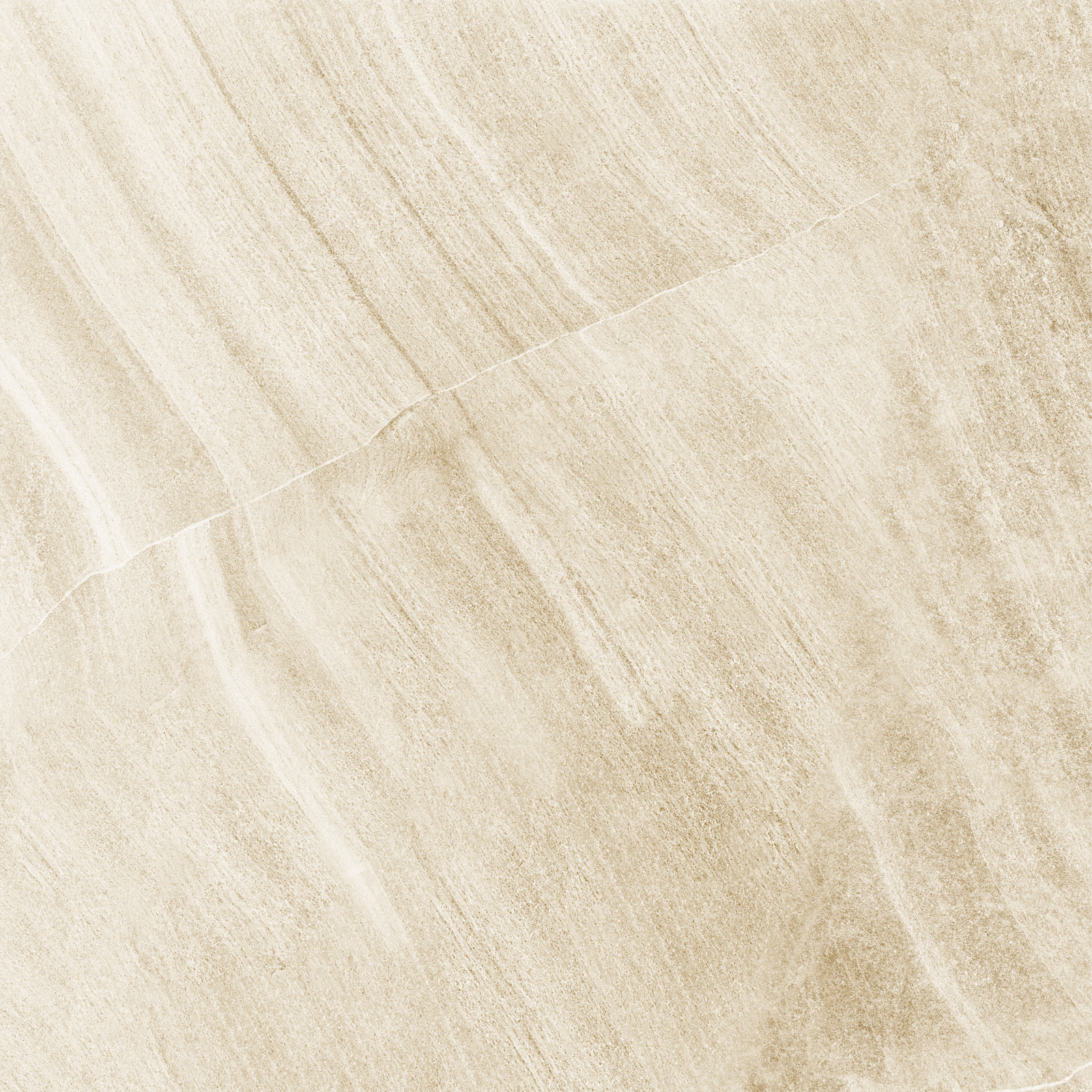 d60202m_12.jpg