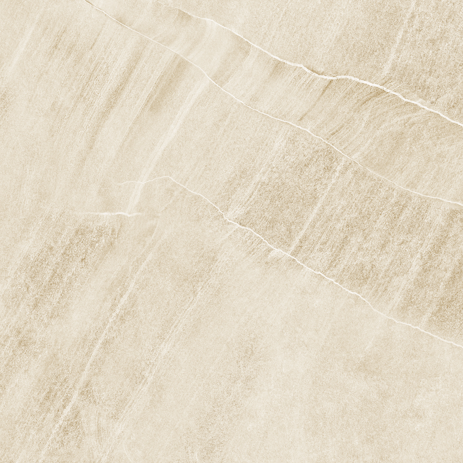 d60202m_13.jpg