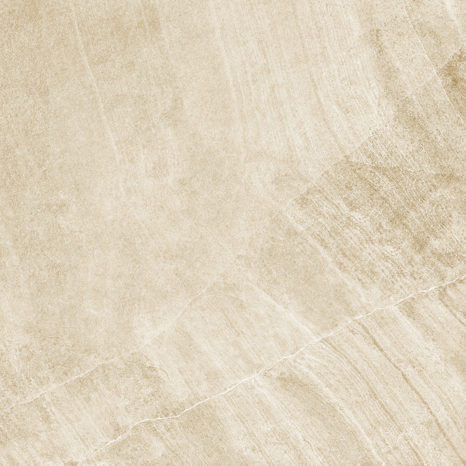 d60202m_15.jpg