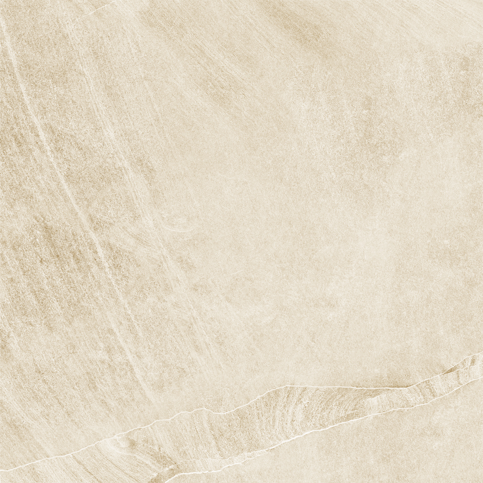 d60202m_16.jpg