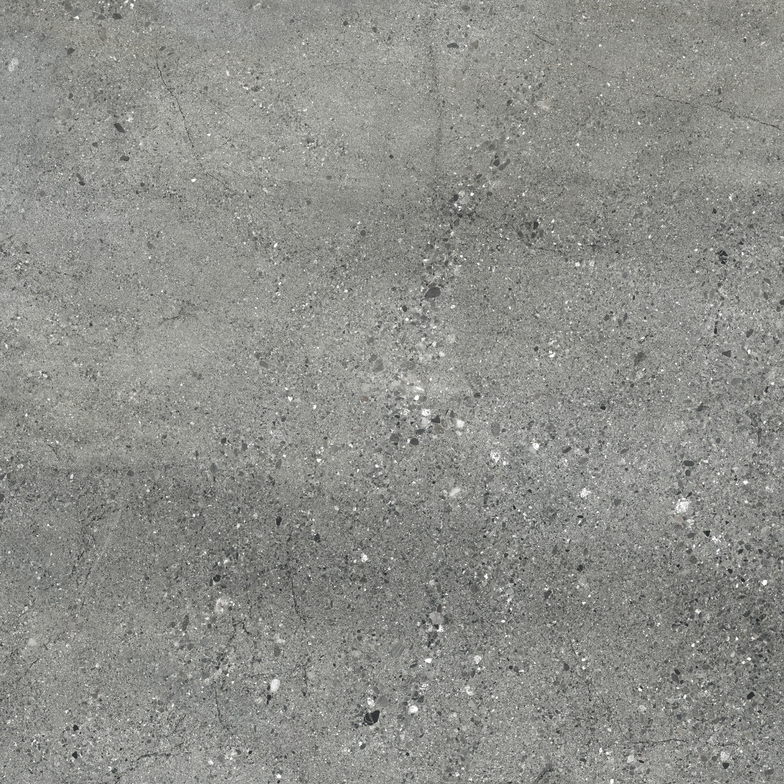 d60207m_10.jpg
