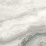 d60217m_03.jpg