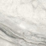 d60217m_04.jpg
