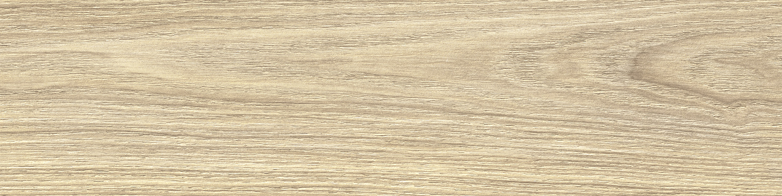gp1560asp21_02.jpg