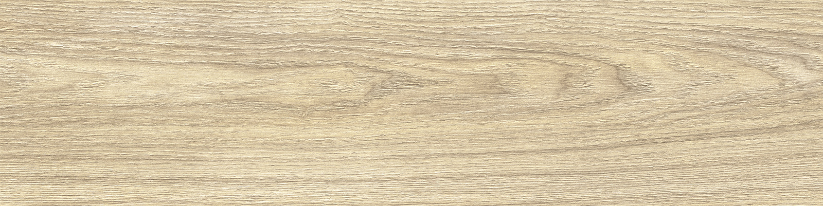 gp1560asp21_04.jpg