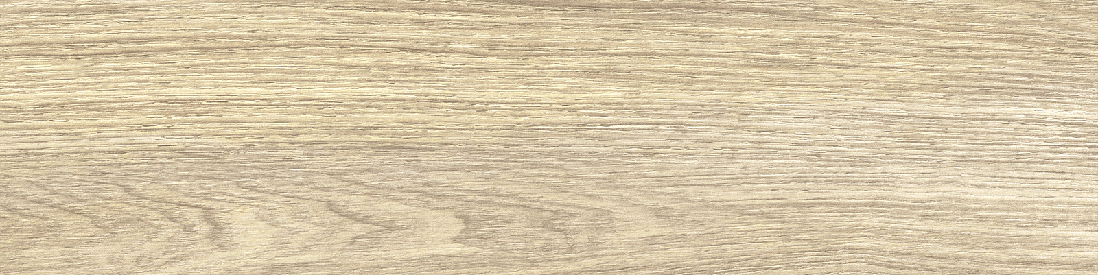gp1560asp21_06.jpg