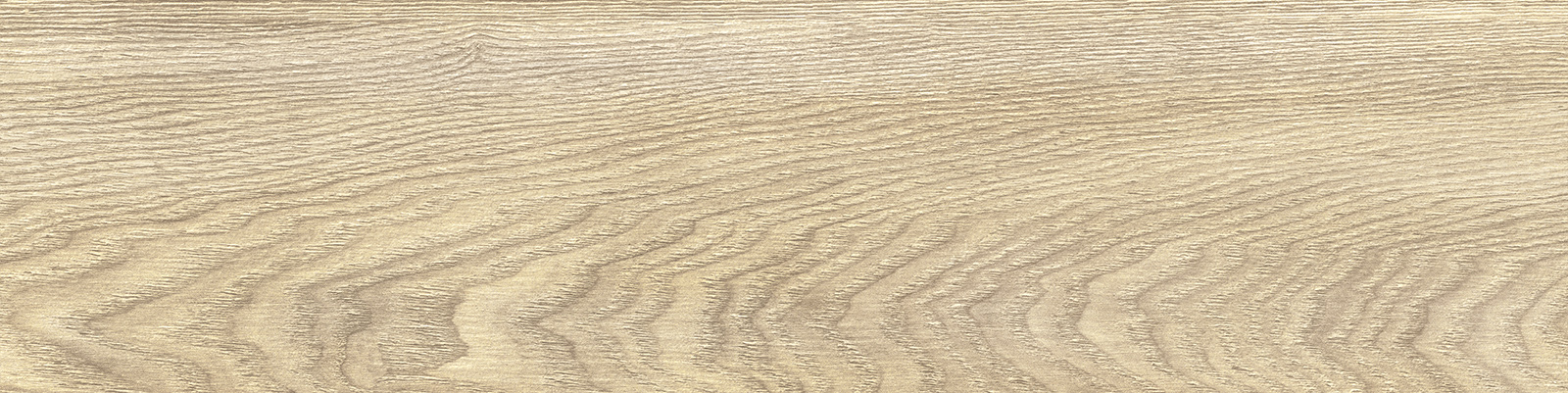 gp1560asp21_08.jpg