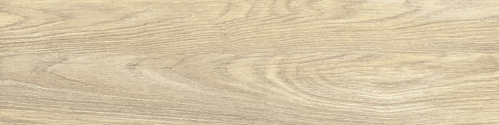 gp1560asp21_09.jpg