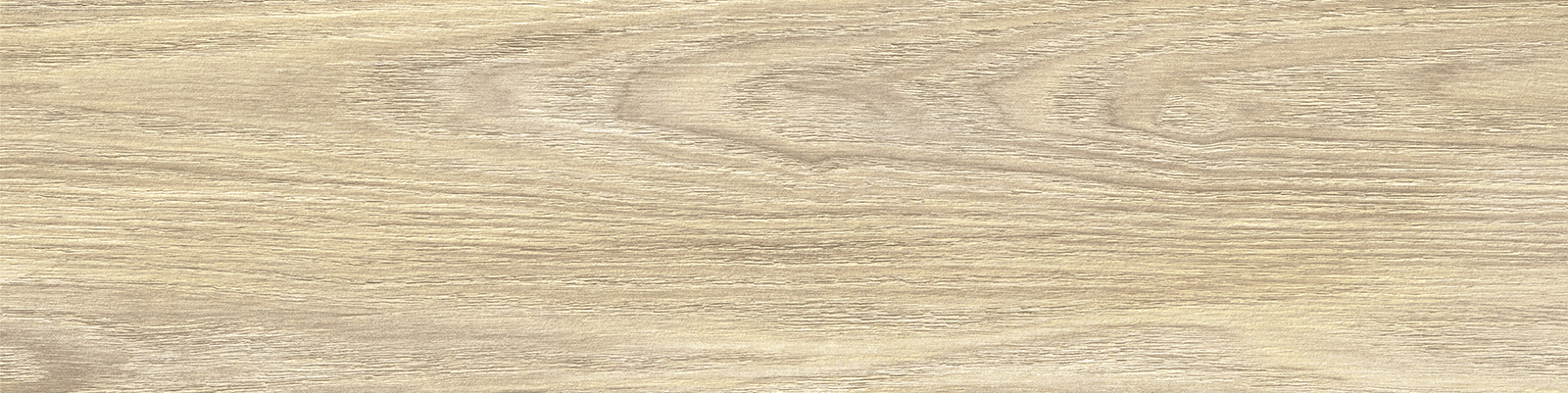 gp1560asp21_10.jpg