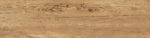 gp1560chl31_19.jpg