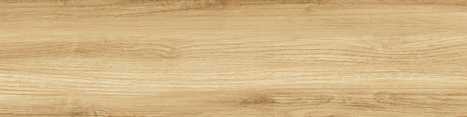 gp1560pep11_01.jpg