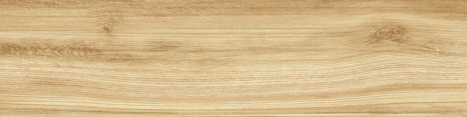 gp1560pep11_02.jpg