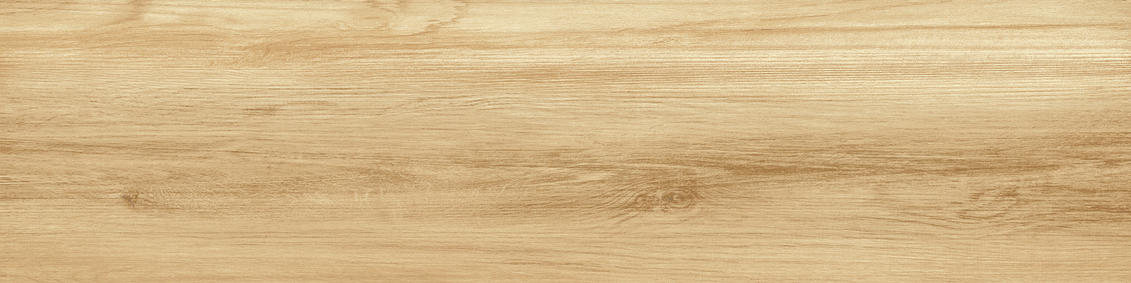 gp1560pep11_03.jpg