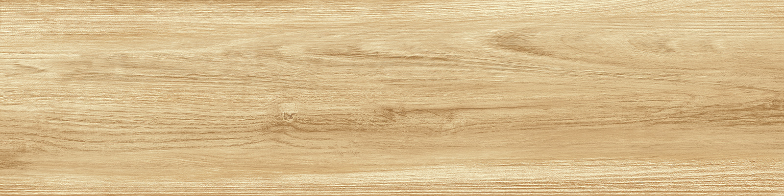 gp1560pep11_05.jpg