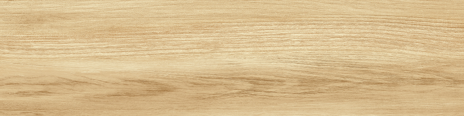 gp1560pep11_07.jpg