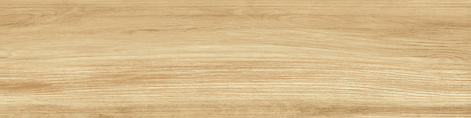 gp1560pep11_08.jpg