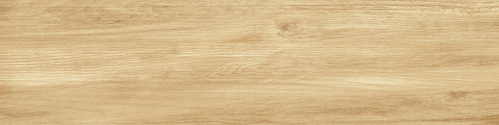 gp1560pep11_09.jpg