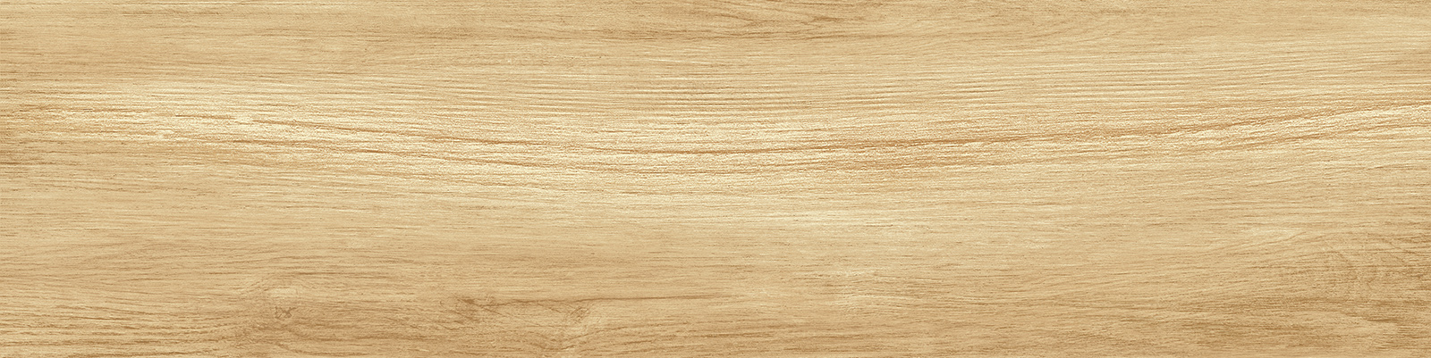 gp1560pep11_12.jpg