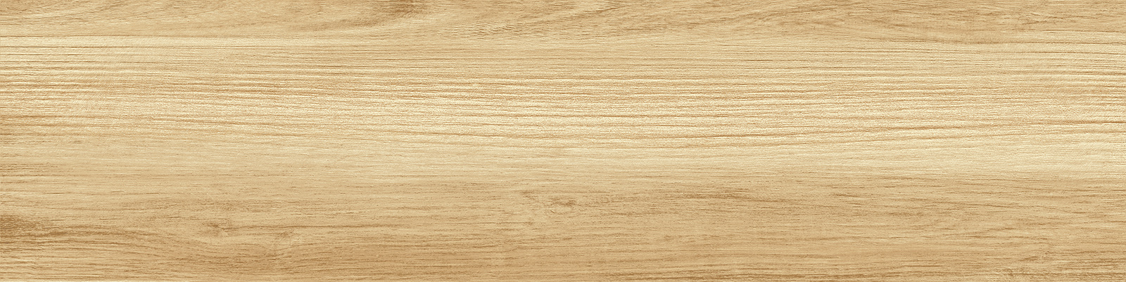 gp1560pep11_15.jpg