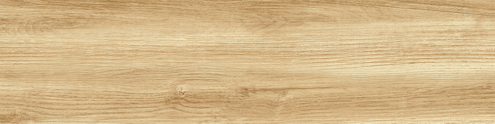 gp1560pep11_16.jpg