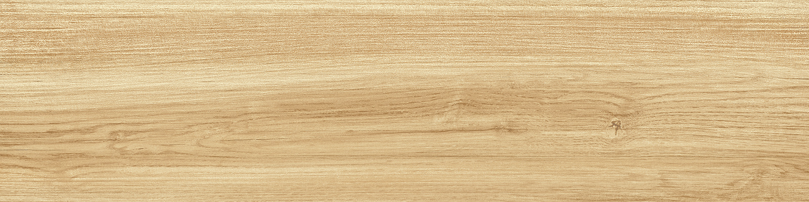 gp1560pep11_18.jpg