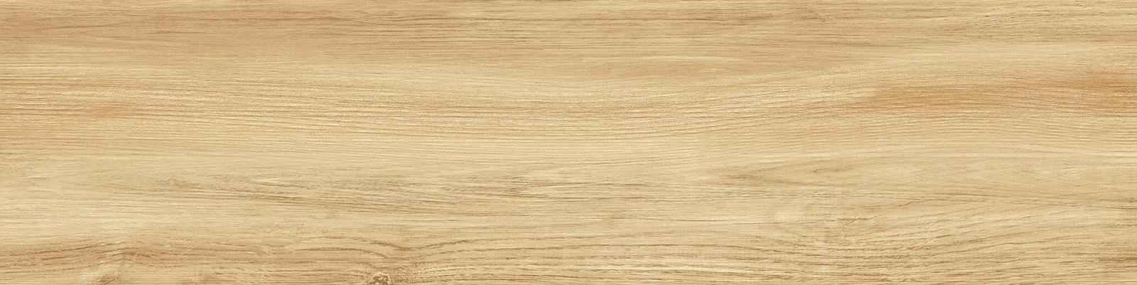 gp1560pep11_19.jpg