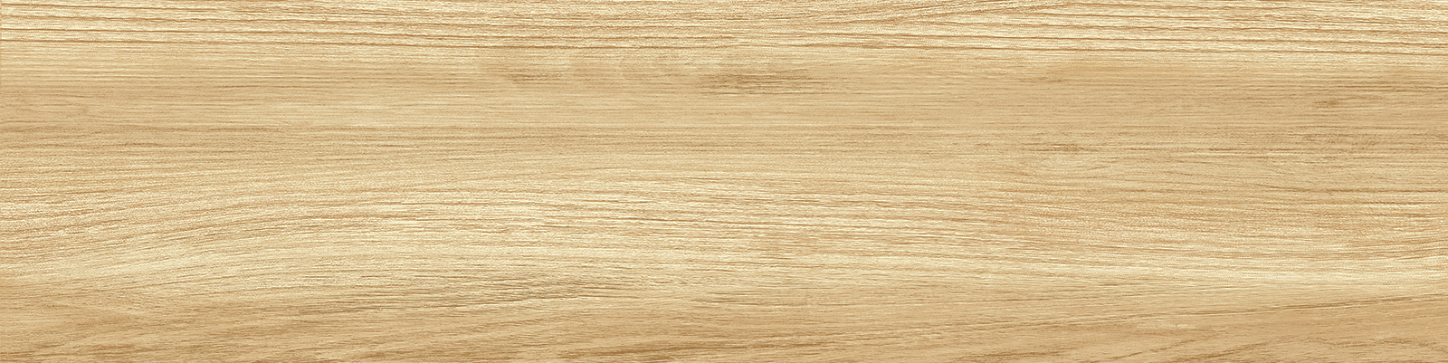 gp1560pep11_20.jpg