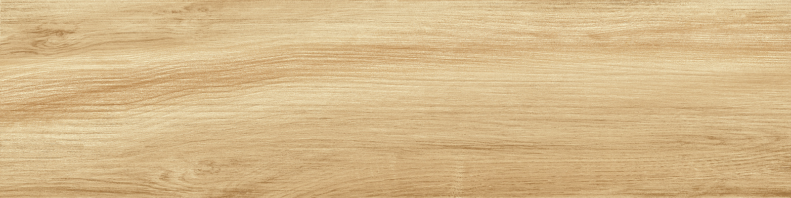 gp1560pep11_21.jpg