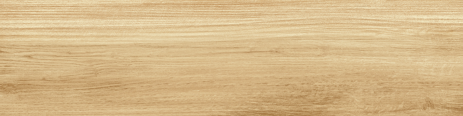 gp1560pep11_23.jpg