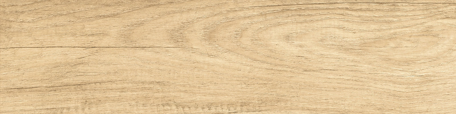 gp1560sab11_01.jpg