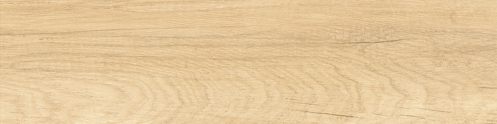 gp1560sab11_04.jpg