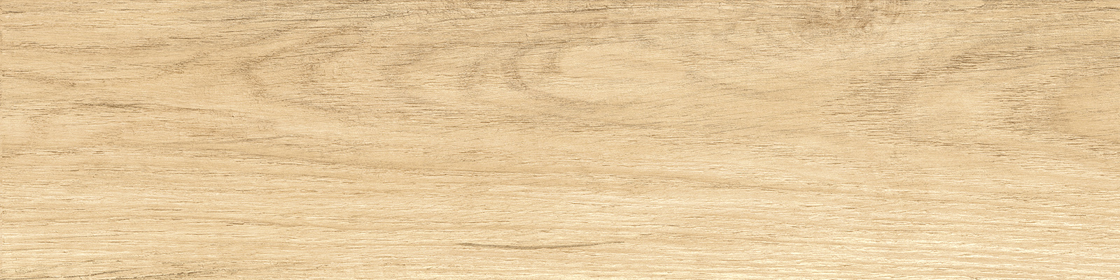 gp1560sab11_07.jpg