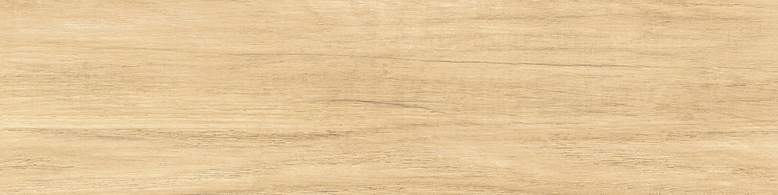 gp1560sab11_09.jpg