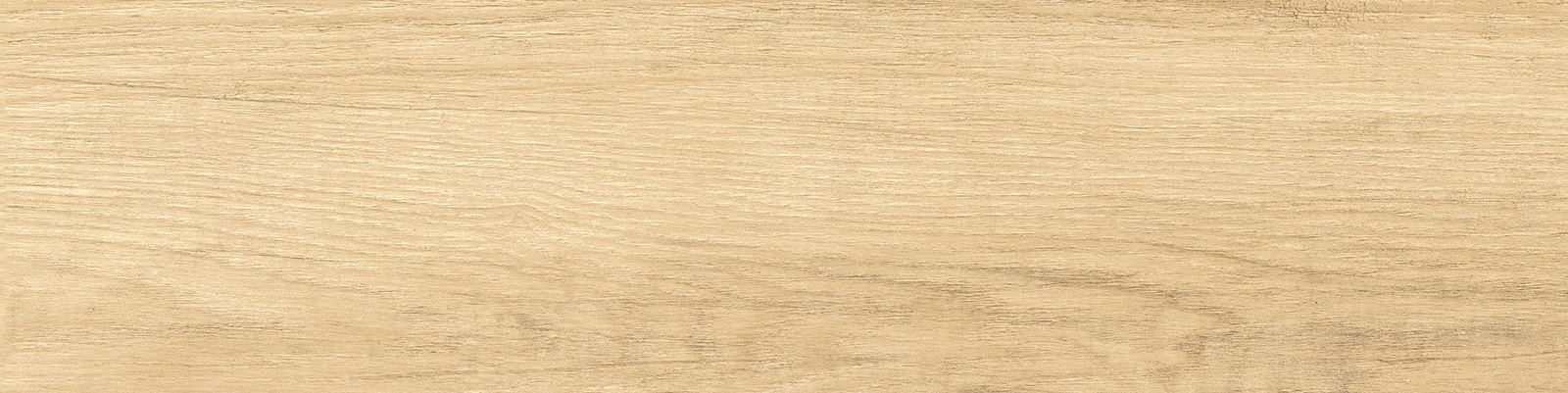 gp1560sab11_10.jpg