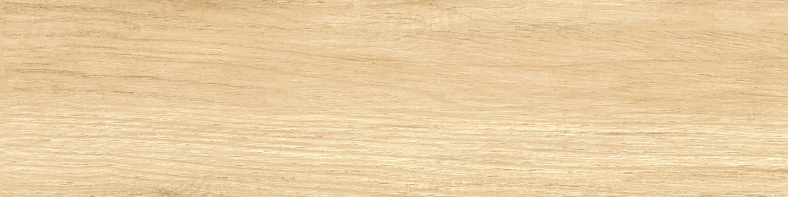 gp1560sab11_13.jpg