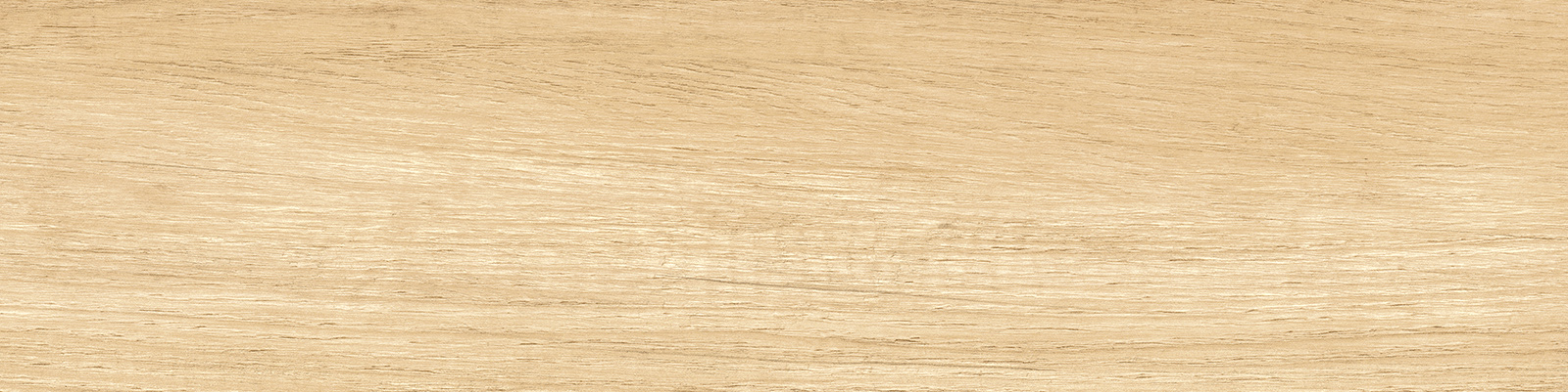 gp1560sab11_19.jpg