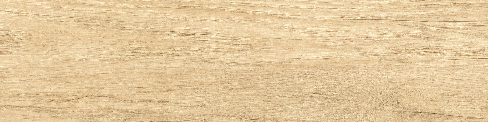 gp1560sab11_20.jpg