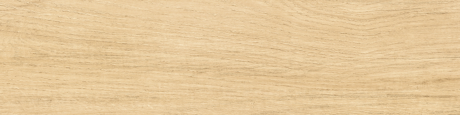 gp1560sab11_24.jpg