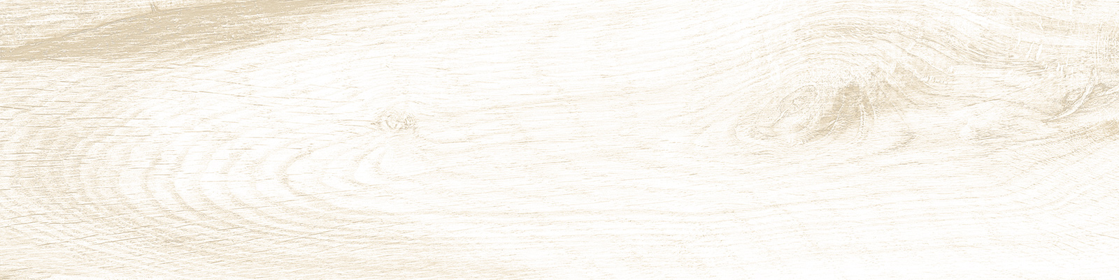 gp1560sha01_06.jpg