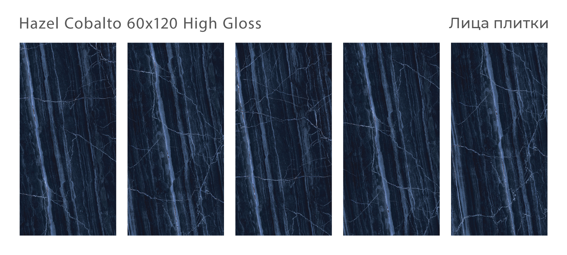 hazel-cobalto-60x120-high-gloss-all.jpg