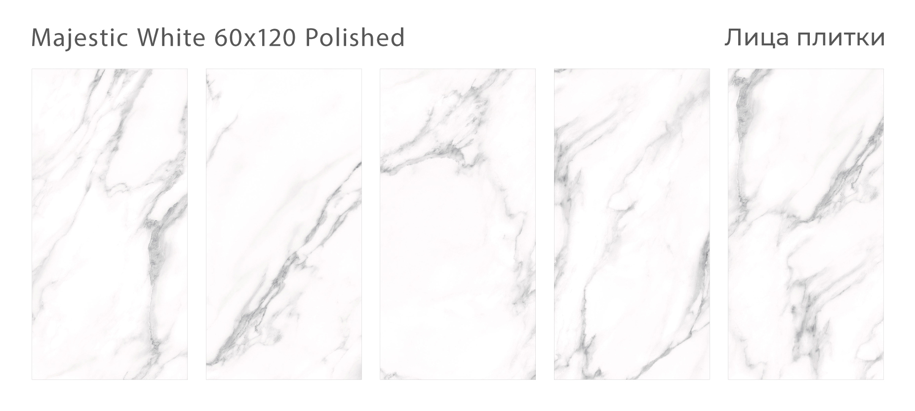 majestic-white-60x120-polished-all.jpg