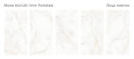 mone_60x120_all.jpg