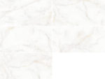 mone_60x120_all2.jpg