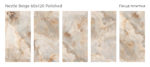 nestle-beige-60x120-polished-all.jpg