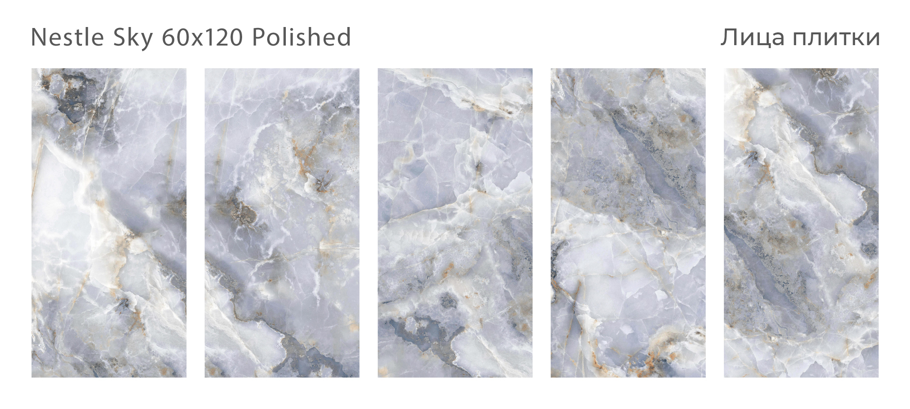 nestle-sky-60x120-polished-all.jpg